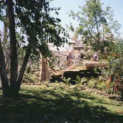 2004 Tornado.