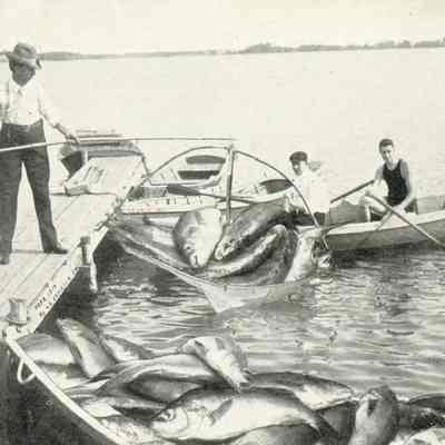 Johnson Postcard, comic "Dipping them up."
