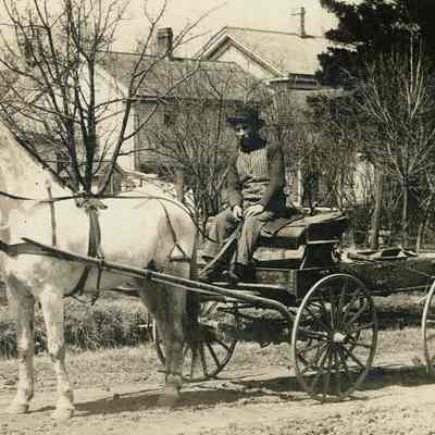Postcard, Modes of Transportation, Johnson, Horse & Wagon