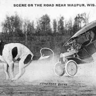 Johnson Postcard, comic "Homeward Bound"