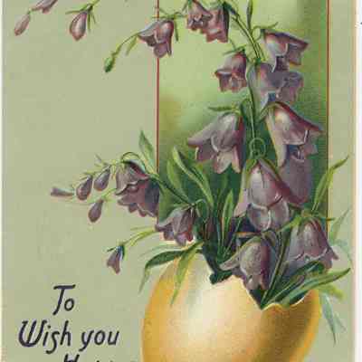 Postcard Collection: