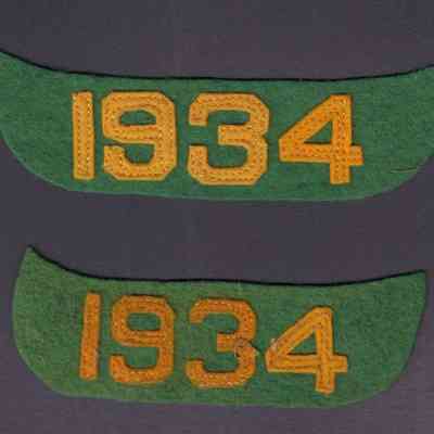 Boy Scouts, BSA, Patches, 1934