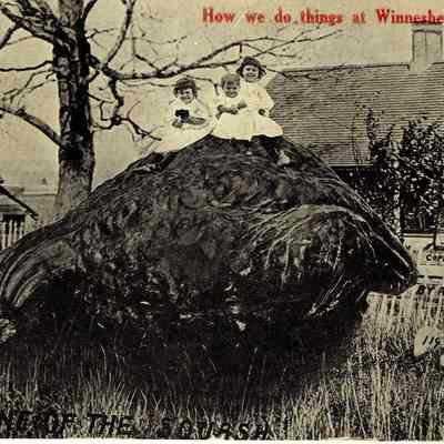 Postcard, Johnson, One of the Squash, How we do Things in Winnesheik, Ill