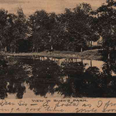 Postcard, Parks, Bush's, Fond du Lac County Park