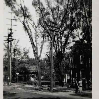 Photograph