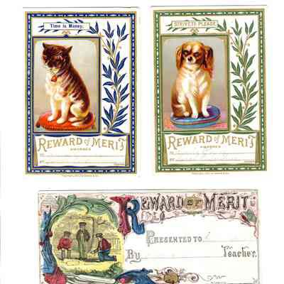 Reward of Merit from 1860's