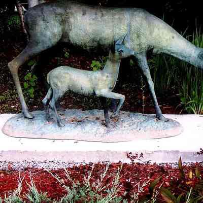 Doe and Fawn