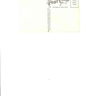 Back of photo postcard - Apples