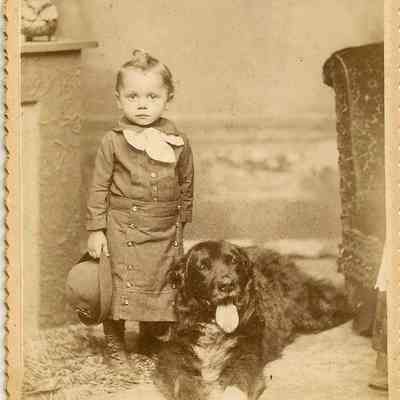 Cabinet Card, Johnson, Unknown