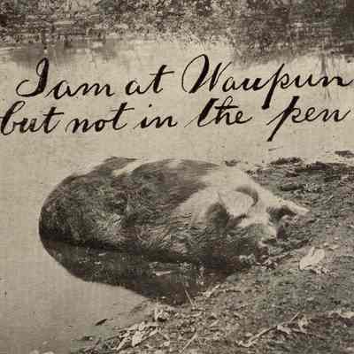 Postcard, Corrections, Wisconsin State Prison, I am in Waupun but not in the Pen