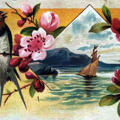 Card, Reynolds Bros., J O Herman