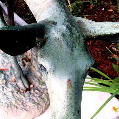 Damage to nose