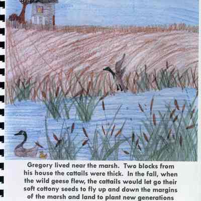 The Marsh King.