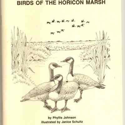 Booklet, Marsh, Birds Of The Horicon Marsh