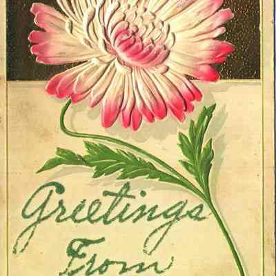 Postcard, Greetings from Waupun, Glitter Cards