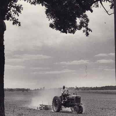 Photograph, Corrections, Wisconsin State Prison, Prison Farm