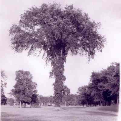 Photograph, Rock River Country Club