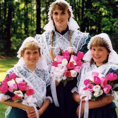 Picture of the 1997 Klompenfest Court, Queen Sue Reichhoff