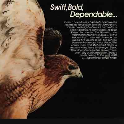 Brochure, Bird Trucking, Swift/Bold
