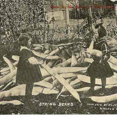 Postcard, Alfred Stanley Johnson, String Beans, 1910