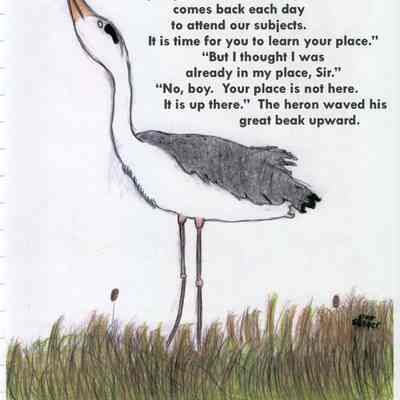 The Marsh King.