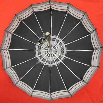 Umbrella, Antique (inside)