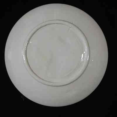 Plate from Waupun, Wisconsin.