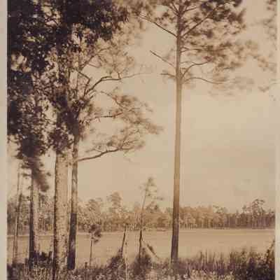 Photograph, Mill Pond