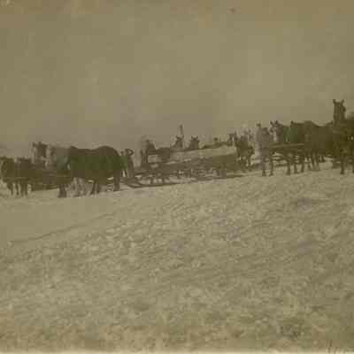 Postcard, Parks, Mill Pond, Cutting Ice
