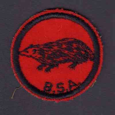 Boy Scouts, BSA, Patch, Patrol, Badger
