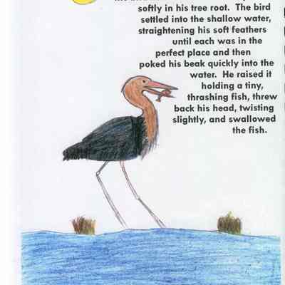 The Marsh King.