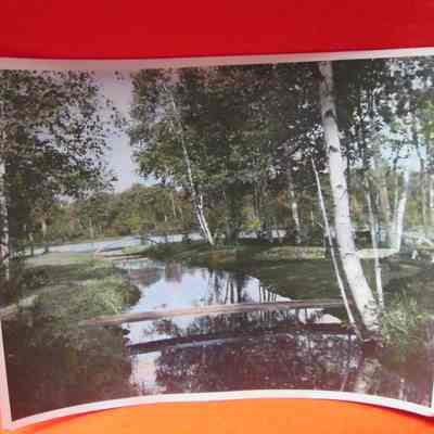 Photograph, Color, Bridges & Creek