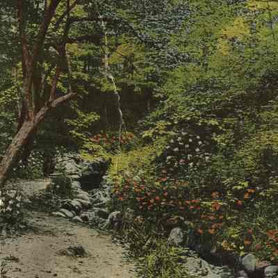 Postcard Collection: