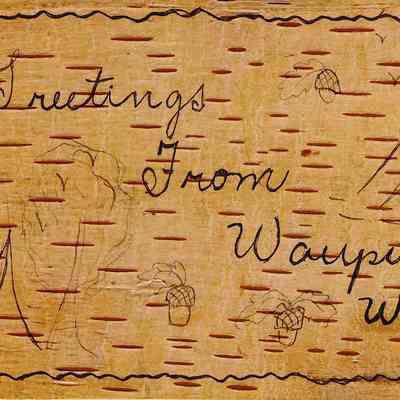 Postcard, Greetings from Waupun, Bark Background