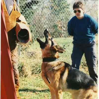 Photograph, Dog Training, Jeanne Frost