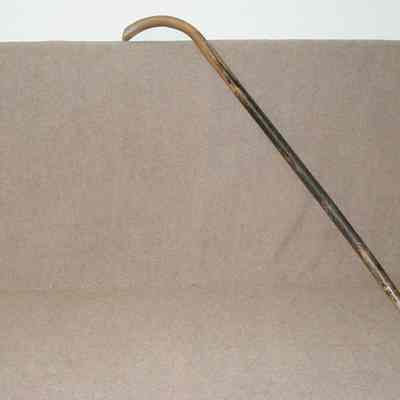 Cane