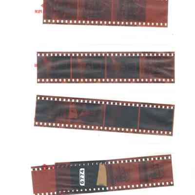 Photograph, Negatives, Bed and Breakfast, Rose Ivy Inn