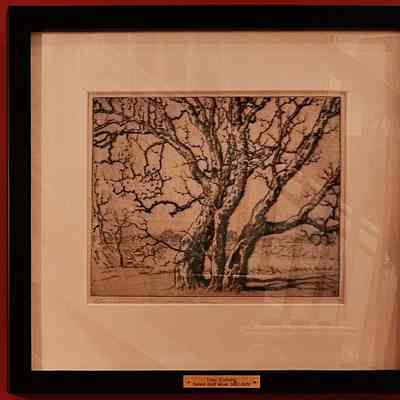 "Tree Etching"