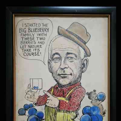 "Caricature of Frederick V. Coville"