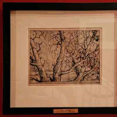 "Tree Etching"
