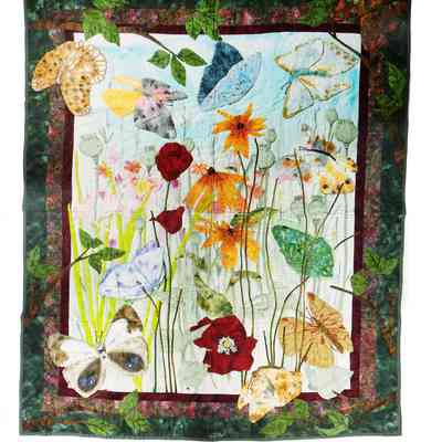 Butterflies & Flowers