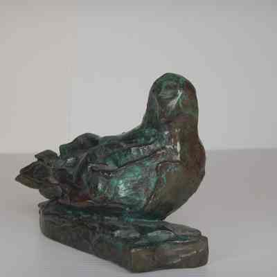 Bronze Dove