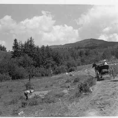 Photo 2: Woman in horse-drawn buggy and child next to road.