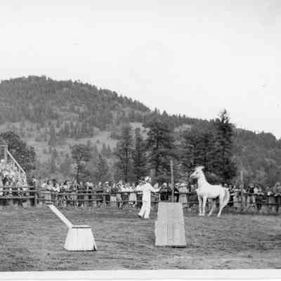 Show at Lazy VV Ranch - photo 3