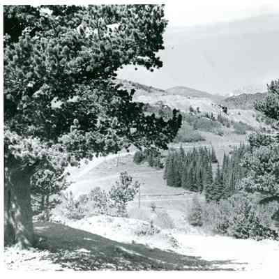 Caribou, Colorado, view 12, c1957