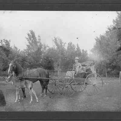 Unknown family photographs