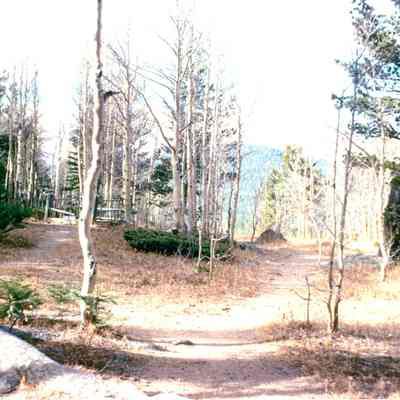 4. Caribou Cemetery path and grave: Color slide and color 8"x10" print. Print (scanned) was donated by Tom Hendricks and made from color slide donated by Lorraine Todd.