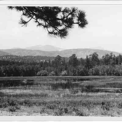 Mud Lake