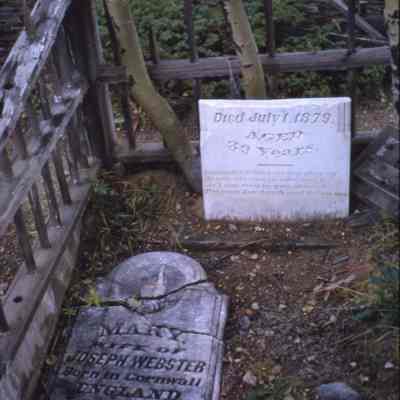 3. Color slide: Mary Webster headstone in Caribou cemetery with wood fence, top half cracked into 3 pieces