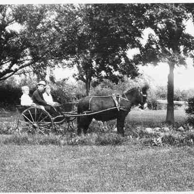 2c. Three young people in buggy pulled by mule. David Barrett (middle), Don and Robert Kemp, burro Moses: Envelope 2